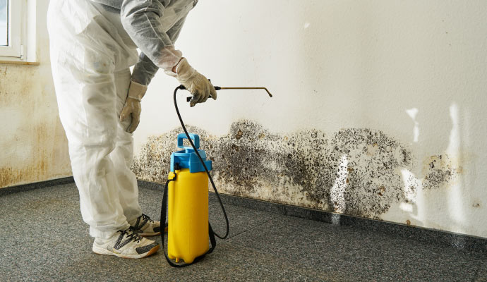 Person cleaning black mold