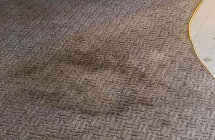 Carpet Water Damage Restoration Service in Auburn Hills