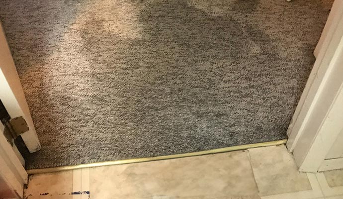 Carpet water damage