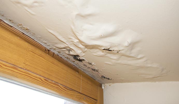 Ceiling damage