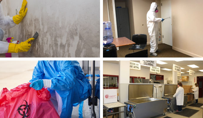 Collage of mold remediation, disinfection, biohazard cleanup and content cleaning services