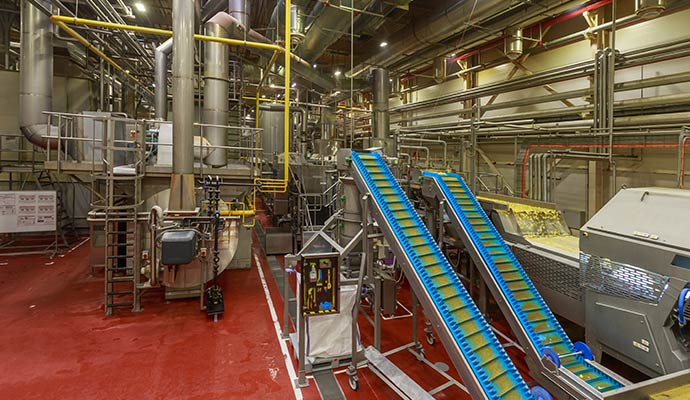 Clean and modern food production facility