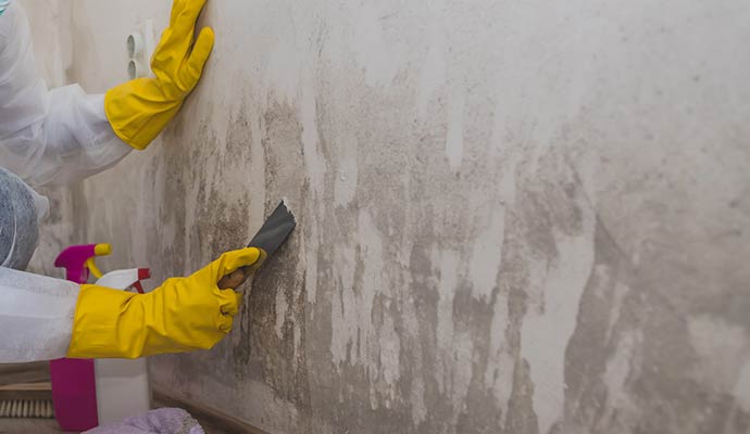 Mold remediation scraping wall