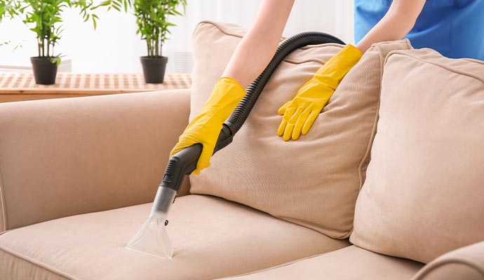 Couches cleaning service