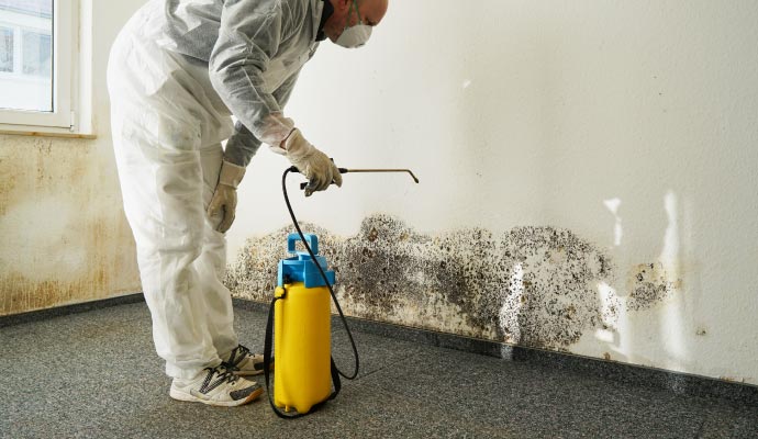 Mold remediation