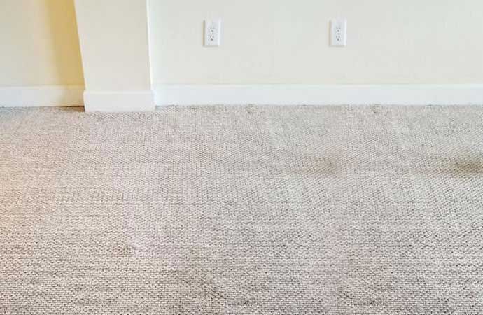 Carpet Cleaning in Livonia & Detroit, MI