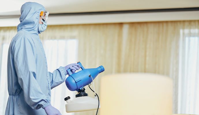 Professional deodorization service Professional deodorization service