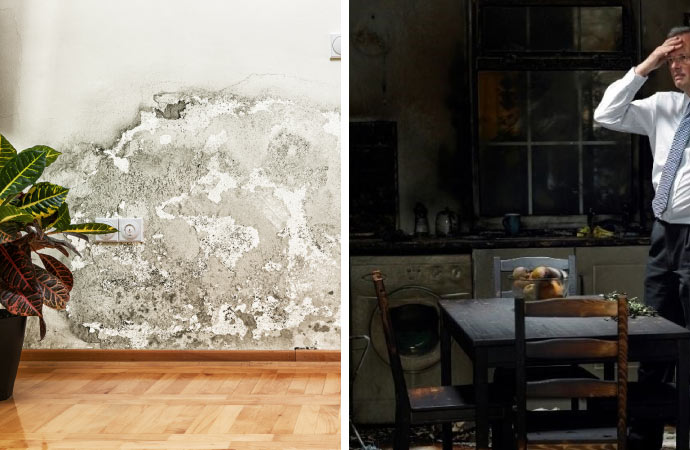 collage of mold and fire damage
