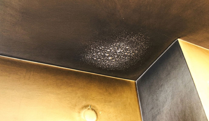 Fire smoke damaged ceiling and wall