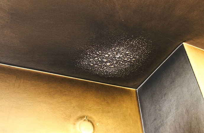 Fire smoke damaged ceiling and wall