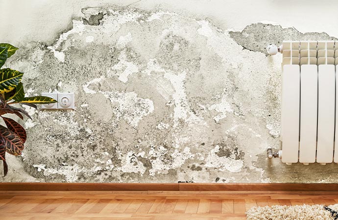 Mold warping damage in home wall