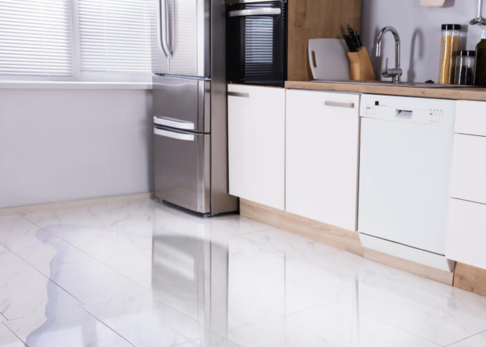 Dishwasher Leak & Overflow Cleanup in Detroit, MI