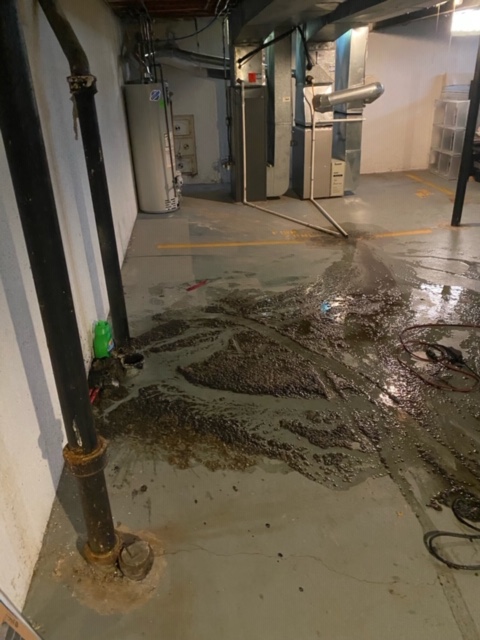 Sewage in basement