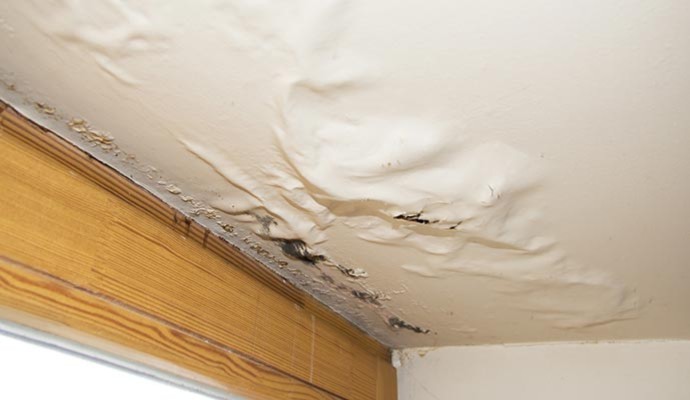 Leaky roof damage