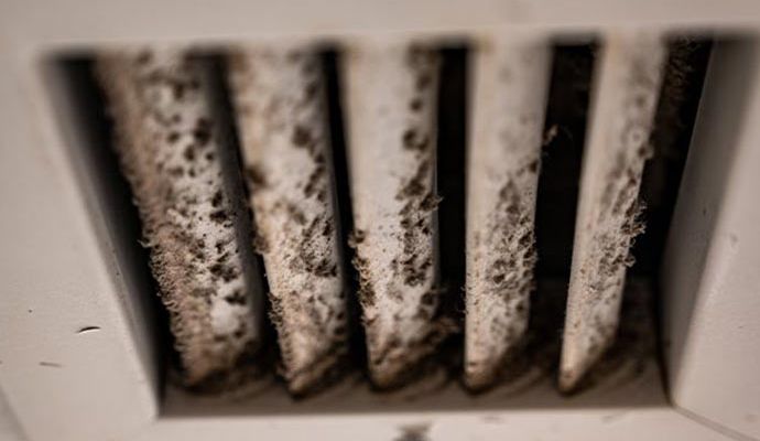 Mold in HVAC