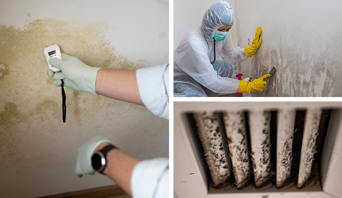 Collage of mold inspection, wall remediation and mold buildup inside air ventilation system