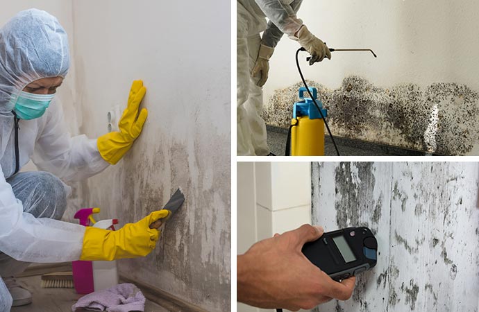 Experts conducting mold removal, cleaning, and testing in a protected environment.