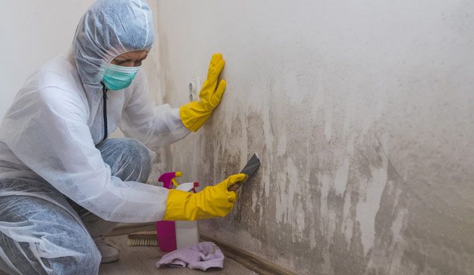 Expert in a protective suit and yellow gloves scraping mold from a wall during mold remediation