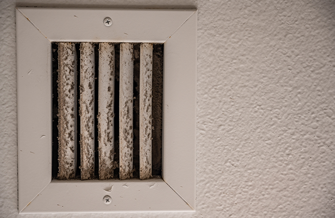 HVAC mold