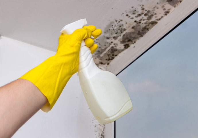 Preventing Mold Growth with Concraft