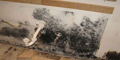 Mold Remediation