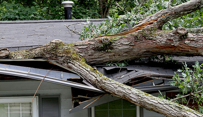 Tree fallen on residential house roof after wind damage