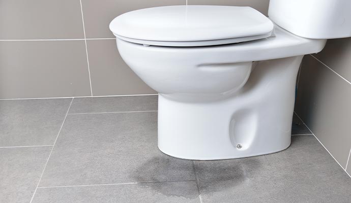 Professional sewage cleanup service