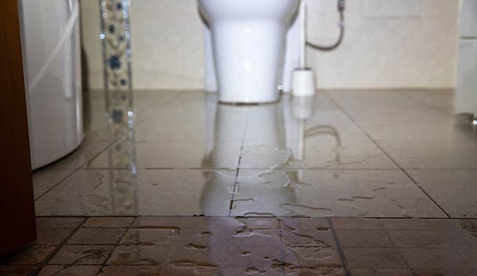 Sewage leakage in bathroom