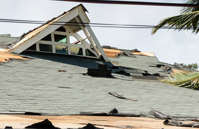 Shingle Damage Restoration in Detroit, MI