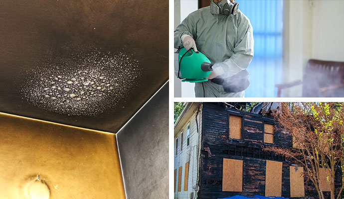 Smoke damaged ceiling, smoke odor removal service and boarded up house