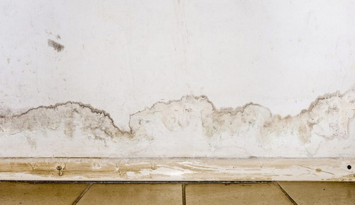 Damaged Flooring Stain Removal in Detroit & Auburn Hills, MI