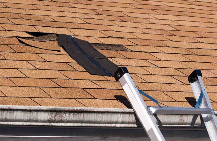 Professional shingle services