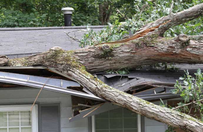 Post Storm Clean-Up Service For Your Property
