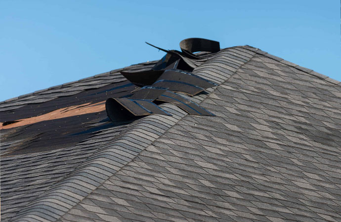 Professional Care for Roof Shingles in Canton