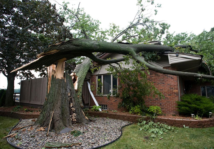 Storm & Wind Damage Restoration in Southeast Michigan
