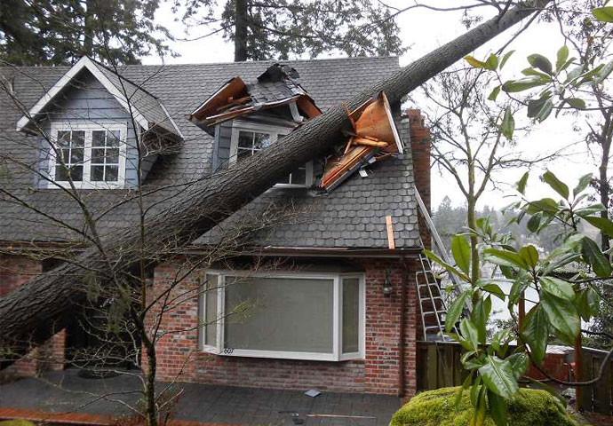 Roof Damage from Storm in Detroit & Southeast Michigan