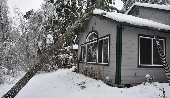 House severely damaged by a tree that fell during a winter storm, showing roof and structural impact