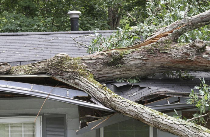 Truck removing damage trees from storm