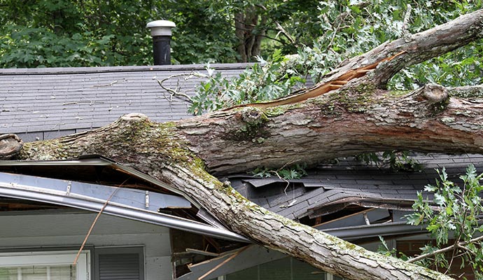 storm damage