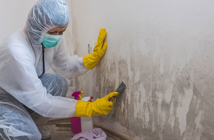 Structural mold remediation