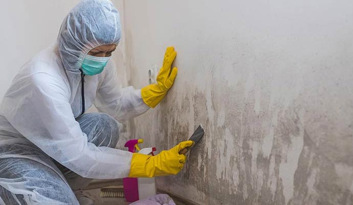 Technician in protective suit removing mold from a wall