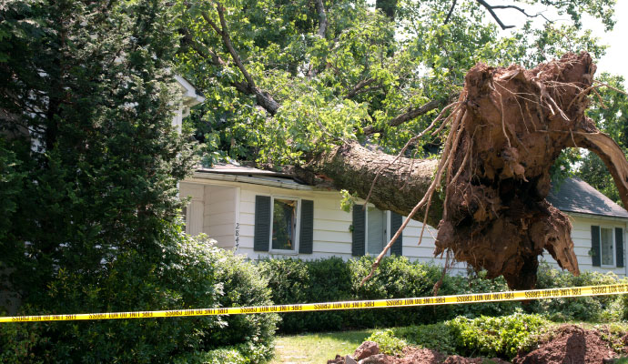 Tree fallen on house roof due to storm damage