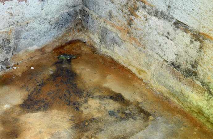 Basement Mold Damage