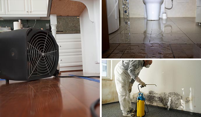 Water damage restoration, water damaged bathroom floor and mold remediation services
