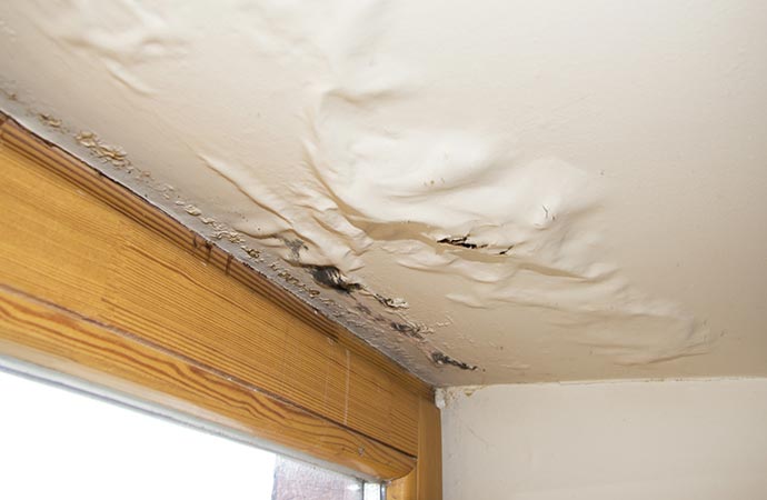 water damage roof leak repair service