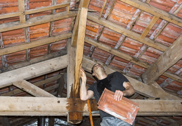 Attic Water Damage Restoration