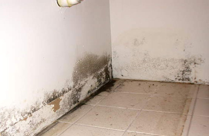 How to Detect Water Leaks in Walls