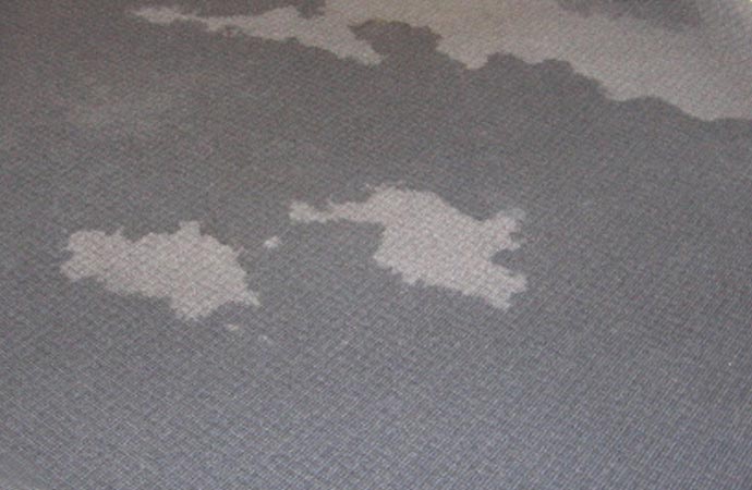 Water Damaged Wet Carpet Restoration