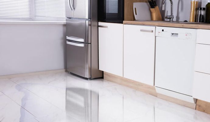Dishwasher leakage