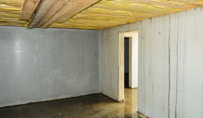 Flooded basement